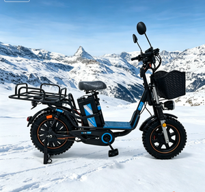 Bicicleta Eléctrica Todoterreno con Llantas Anchas, 800W 48V, Capaz de Transportar Carga, Venta Directa de Fábrica - Product Image 2