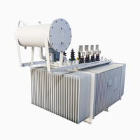 Transformateur de distribution de puissance triphasé 10 kV immergé dans l'huile, haute efficacité, 50 Hz