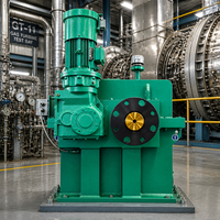 Réducteur de moteur à engrenages robuste NGGS CLSX personnalisé pour compresseur de turbine de centrale électrique MVR