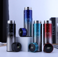 Termo Inteligente con Pantalla Digital LED de Temperatura Botella de Agua de Acero Inoxidable con Aislamiento al Vacío