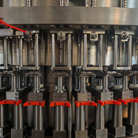 Machine monobloc de soufflage, de remplissage et de scellage pour bouteilles en plastique/PET |   Soufflage, rinçage, remplissage et bouchage intégrés