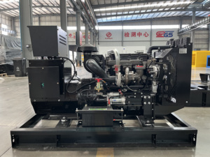 Công nghiệp mỗi-kins Máy phát điện diesel thiết lập 7-1000kw Ấn Độ/Mỹ/Anh/Trung Quốc thực hiện Máy phát điện đặt - Product Image 3