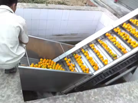 Automatische turnkey sinaasappelsapverwerkingsmachine 2026, citrus sap NFC productielijn, hoge capaciteit
