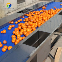 Automatische Rvs Groente En Fruit Sorteren Machine Selectie Tafel TS-GF25