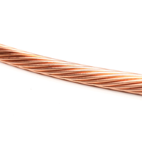 Fabriklieferung 70mm² Kupfer-Elektrokabel Stromkabel Erdungstyp Blanker Kupferleiter Blitzschutz-Erdung