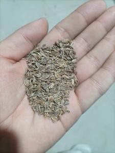 Juego de Herramientas de decoración, - Product Image 4