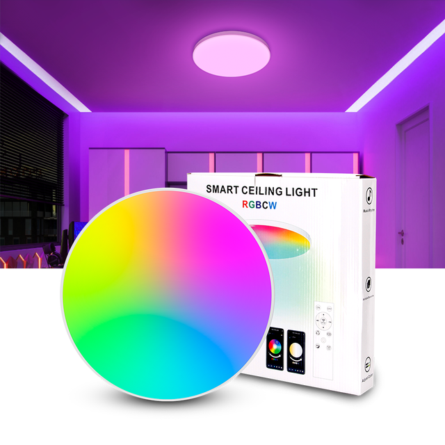 12inch 20w Smart Lamp Tuya APP Control Led Ceiling Lights Flush Mount Ceiling Light Led Ceiling Light for Living Room