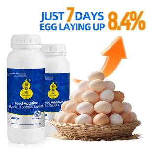 Bio <span class=keywords><strong>Hens</strong></span> en çok satan yeni sıvı Bacillus Subtilis tavuk döşeme için yumurta üretimini verimli bir şekilde katmanı - Product Image 3