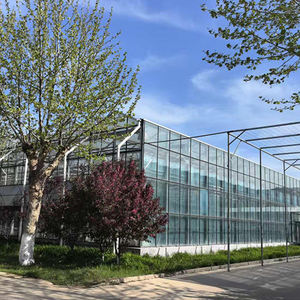 Invernadero agrícola grande de vidrio templado multitramo para exhibición de cría de semillas Restaurantes ecológicos Cultivo de <span class=keywords><strong>verduras</strong></span> - Product Image 3