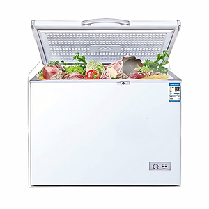 100-400 Litres 150L <span class=keywords><strong>Petit</strong></span> <span class=keywords><strong>Volume</strong></span> Mini Congélateur <span class=keywords><strong>Coffre</strong></span> Réfrigérateur Maison Congélateur de plain-pied Autres Congélateurs - Product Image 1