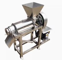 Hoge Capaciteit Vruchtensap Afzuigmachine Sinaasappelsap Maker Citrus Spiraal Juicer Voor Thuis