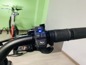 2024 Roadsan V20 <strong>Ebike</strong> for Adults 24inch Fat Tyre 48V 15AH/20AH Lithium Battery Dual Disc Brake System - Product Image 6