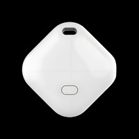 Traceur GPS pour animaux de compagnie (chiens et chats) – Ovale, Bluetooth, Anti-perte, Sonnerie, Double Système, Autonomie 12 Mois, Compatible iOS et Android, en Plastique