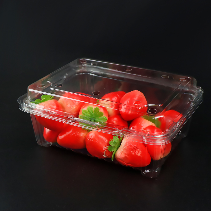 Fresh Vegetable Fruit Storage Clear Plastic