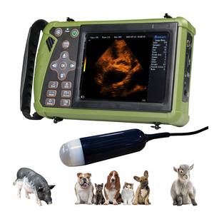 Penjualan terlaris peralatan diagnostik dokter hewan B mesin Ultrasound peralatan jantung untuk dijual dengan harga yang kompetitif - Product Image 6