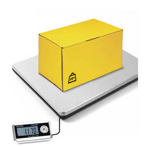 Accurex PCX - Bilancia industriale extra piatta con display remoto - Product Image 2