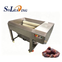 Industriële dadelpoets- en reinigingsmachine voor fruitverwerkingslijnen