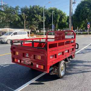 <strong>2022</strong> <strong>Best</strong> Factory Price 300Kg Tricycle 14 Inch Electric <strong>Bike</strong> for Men Use - Product Image 5