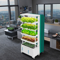 Armoire de culture de plantes de serre intérieure hydroponique automatique avec lumière LED nouveau système d'irrigation pour l'arrosage à la maison