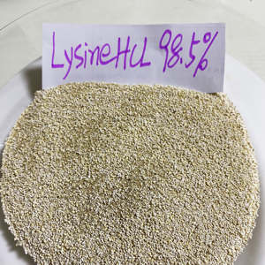 Materie Prime per Mangimi Avicoli L-Lisina Sacchetto da 25kg L-lisina HCL 98,5% - Product Image 3