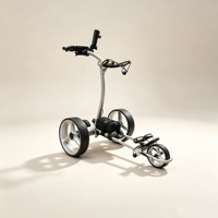 Chariot de golf électrique et télécommandé acceptant les services de personnalisation OEM ODM pour les distributeurs professionnels de golf du monde entier