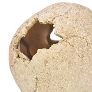 Décoration de crâne pour aquarium, statue de crâne en résine plastique servant de refuge pour araignées, scorpions, lézards, ornement de maison - Product Image 3