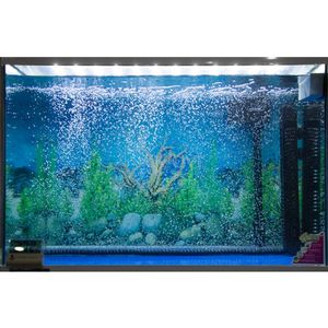 Enkele/Dubbele Uitlaat Bubble Bar Muur Lucht Steen Gordijn Diffuser 12-48 Inch Luchtbel Buis Slang <span class=keywords><strong>Aquarium</strong></span> Luchtbel Steen - Product Image 6