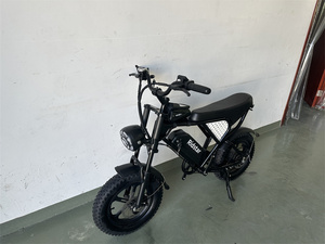 VTT Électrique Moteur Moyeu Ridstar 750W 1000W Personnalisé, Moto Tout-Terrain, Vélomoteur Hybride pour Adultes, Fabricant de Vélo de Montagne Pas Cher - Product Image 3