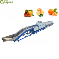 Genyond Citroen Sinaasappel Kersen Bosbessennoot Sorteren Fruitmachine Vruchten Dadel Palm Pitting Sortering Fruit Machines
