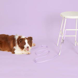 조시잉 신형 디자이너 핸즈프리 <span class=keywords><strong>PVC</strong></span> 강아지 목줄 고급 방수 다기능 강아지 목줄 - Product Image 6