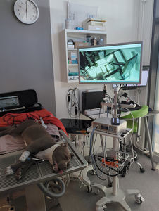 Ecg <span class=keywords><strong>Trolley</strong></span> Multifunctionele Ziekenhuis <span class=keywords><strong>Trolley</strong></span> In Hoogte Verstelbare Medische Kliniek <span class=keywords><strong>Trolley</strong></span> Medische Kar Schoonheidssalon <span class=keywords><strong>Trolley</strong></span> 3 Lagen - Product Image 4