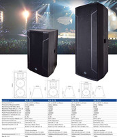 Haut-parleur RMS 1000W Big Power Dual 15 pouces pour extérieur et intérieur Show AX-525