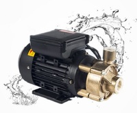Pompa vortex tembaga kecil WF High Head untuk sistem pengalihan air panas dan dingin untuk sirkulasi tenaga surya