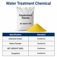 Fournisseur de Coagulant PAC pour Usine de Traitement des Eaux à Base de Chlorure de Polyaluminium