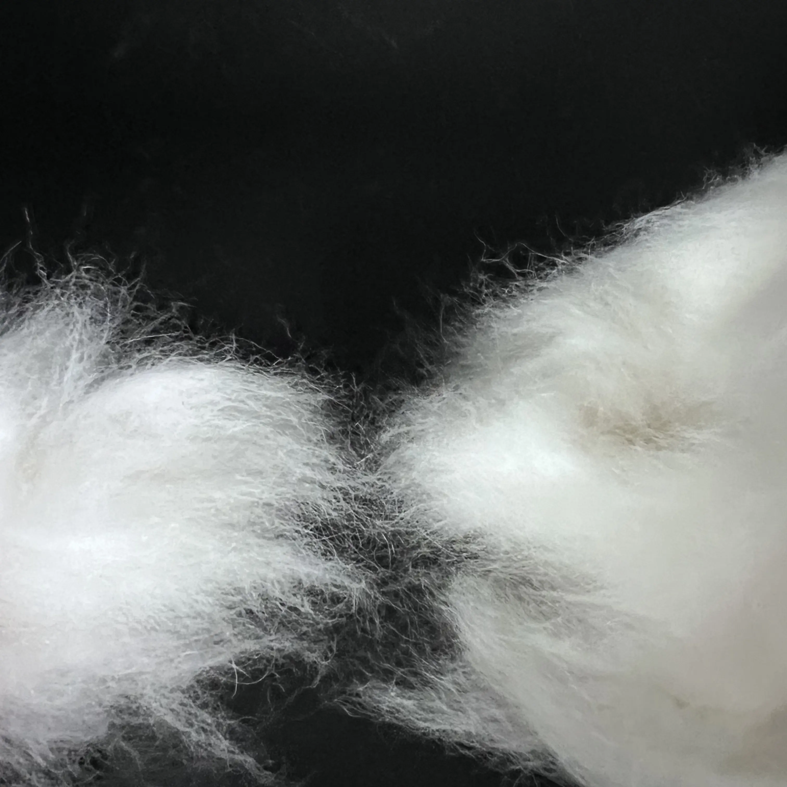 Самая дешевая цена мех кролика для текстиля высокого качества мех кролика оптом