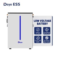   Batterie au lithium RW-M6.1-B Lifepo4 51.2v 120ah Batterie solaire avec protection IP65 et connexion au réseau hybride 6kwh