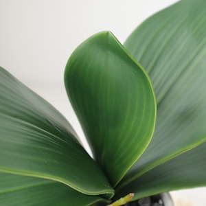 Planta Artificial de Hoja de Phalaenopsis, Nueva, de Alta Gama, Hecha a Mano, de Pegamento Suave, para Jardinería, Bonsái y Arreglos Florales - Product Image 4