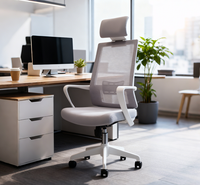Chaise de bureau ergonomique moderne en maille, hauteur réglable, base pivotante, soutien lombaire indépendant, design confortable pour le bureau à domicile