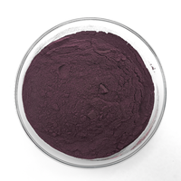Poudre d'extrait de sureau d'anthocyanidine d'approvisionnement d'usine extrait de sureau noir 15% 25% anthocyanidines