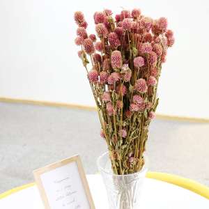 Mechones de flor seca de amaranto, globo blanco, 100% natural, para decoración del hogar, fiesta (rosa) - Product Image 3