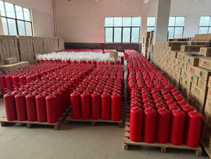 <span class=keywords><strong>Extincteur</strong></span> <span class=keywords><strong>pas</strong></span> <span class=keywords><strong>cher</strong></span> <span class=keywords><strong>1kg</strong></span> 5a 34b ABC <span class=keywords><strong>Extincteur</strong></span> à poudre sèche Extintores De Incendio avec certification ISO9001:2008 - Product Image 6