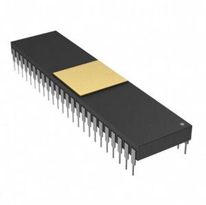 AM2960ADC ชิ้นส่วนอิเล็กทรอนิกส์แท้จากผู้ผลิต วงจรรวม IC ตรวจจับข้อผิดพลาด 16 บิต 48CDIP - Product Image 1