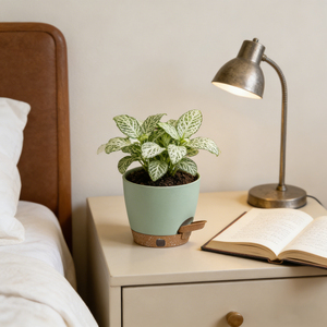 Fabrieksleverancier Zelfwatergevende Duurzame Waterbesparende Plastic Balkon Kantoor Binnenplaats Bloempot Lui Tuinier Bloempot - Product Image 5