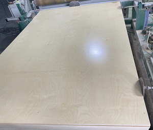 <span class=keywords><strong>Compensato</strong></span> <span class=keywords><strong>di</strong></span> Betulla 18mm 12mm 6mm Foglio 4x8 Faccia B/B Finitura UV Opzionale <span class=keywords><strong>2</strong></span> Lati Grado E0 Adesivo <span class=keywords><strong>Compensato</strong></span> <span class=keywords><strong>di</strong></span> Betulla Baltica per Mobili - Product Image 2