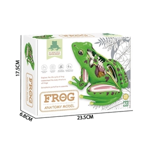 Modèle anatomique <span class=keywords><strong>de</strong></span> grenouille en 23 pièces - Kit scientifique <span class=keywords><strong>de</strong></span> biologie 4D détachable pour <span class=keywords><strong>l</strong></span>'éducation STEM et les laboratoires scolaires - Product Image 5