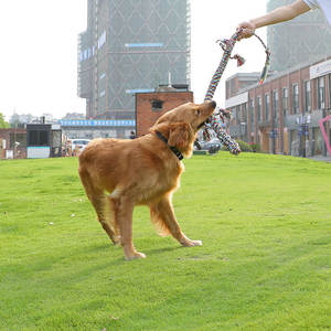 Juguete de entrenamiento de cuerda de algodón trenzado para perros grandes, nuevo, resistente a mordeduras, duradero, ecológico, para perros, juguetes masticables interactivos para perros - Product Image 3