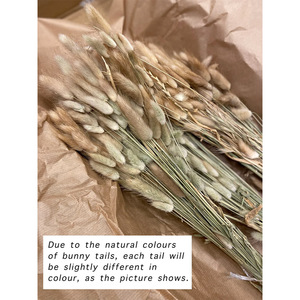 Thanh lịch cao cấp BUNNY đuôi thiết kế thiệp mời đám cưới với vellum giấy phong bì - Product Image 6