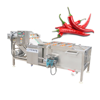 Automatische fruit- en groentezaadreinigingsmachine van roestvrij staal 304, wasmachine voor uien en garnalen met bubbeltechnologie