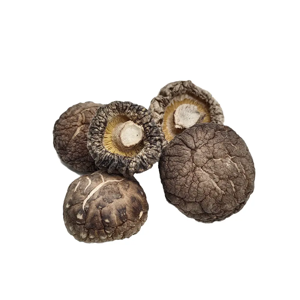 Dried Flower Shiitake Mushroom Wholesale cheap healthy dried shiitake mushroom high quality dried shitake mushroom( 3-4cm )