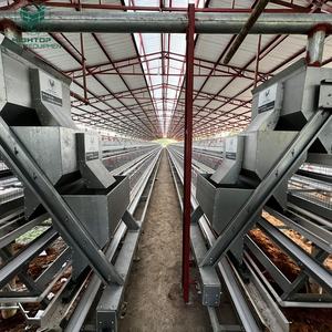 टिकाऊ जस्ती एक प्रकार 3/4 स्तर की बैटरी अंडे की परत चिकन केज प्रणाली बड़े पैमाने पर पोल्ट्री फार्म के लिए - Product Image 3